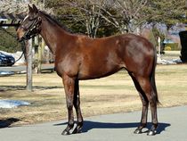 ����å��ǳ��������ɽ�����ޤ�