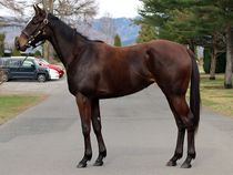 ����å��ǳ��������ɽ�����ޤ�