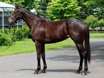 ����å��ǳ��������ɽ�����ޤ�