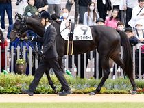 ����å��ǳ��������ɽ�����ޤ�