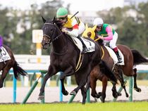 ����å��ǳ��������ɽ�����ޤ�