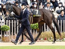 ����å��ǳ��������ɽ�����ޤ�