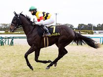 ����å��ǳ��������ɽ�����ޤ�