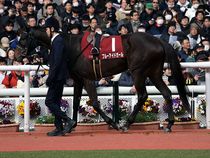 ����å��ǳ��������ɽ�����ޤ�