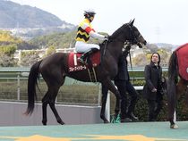 ����å��ǳ��������ɽ�����ޤ�