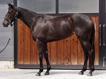 ����å��ǳ��������ɽ�����ޤ�