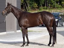 ����å��ǳ��������ɽ�����ޤ�