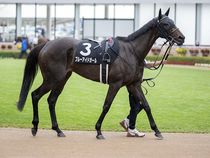 ����å��ǳ��������ɽ�����ޤ�