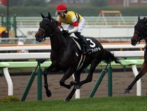 ����å��ǳ��������ɽ�����ޤ�