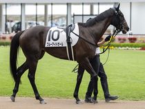 ����å��ǳ��������ɽ�����ޤ�