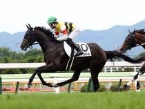 ����å��ǳ��������ɽ�����ޤ�