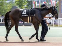 ����å��ǳ��������ɽ�����ޤ�