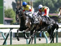 ����å��ǳ��������ɽ�����ޤ�