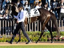 ����å��ǳ��������ɽ�����ޤ�