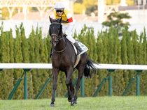 ����å��ǳ��������ɽ�����ޤ�