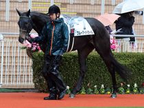 ����å��ǳ��������ɽ�����ޤ�