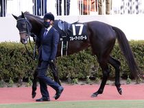 ����å��ǳ��������ɽ�����ޤ�