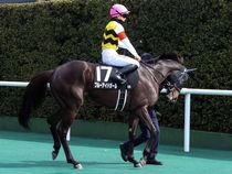 ����å��ǳ��������ɽ�����ޤ�