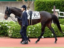 ����å��ǳ��������ɽ�����ޤ�