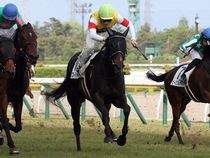 ����å��ǳ��������ɽ�����ޤ�