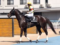 ����å��ǳ��������ɽ�����ޤ�