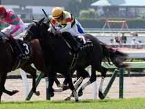 ����å��ǳ��������ɽ�����ޤ�