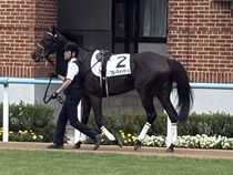 ����å��ǳ��������ɽ�����ޤ�