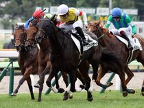 ����å��ǳ��������ɽ�����ޤ�