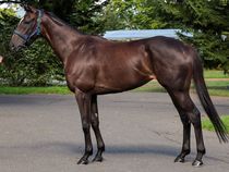 ����å��ǳ��������ɽ�����ޤ�