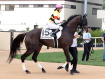 ����å��ǳ��������ɽ�����ޤ�