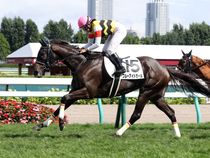 ����å��ǳ��������ɽ�����ޤ�