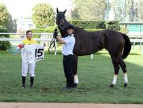 ����å��ǳ��������ɽ�����ޤ�