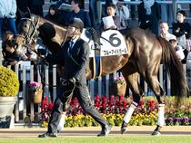 ����å��ǳ��������ɽ�����ޤ�