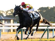 ����å��ǳ��������ɽ�����ޤ�