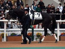 ����å��ǳ��������ɽ�����ޤ�