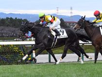 ����å��ǳ��������ɽ�����ޤ�