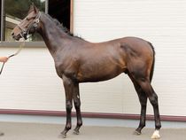 ����å��ǳ��������ɽ�����ޤ�