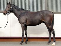 ����å��ǳ��������ɽ�����ޤ�