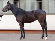 ����å��ǳ��������ɽ�����ޤ�