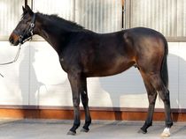 ����å��ǳ��������ɽ�����ޤ�