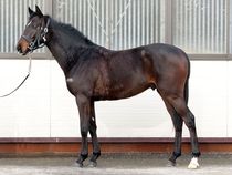 ����å��ǳ��������ɽ�����ޤ�