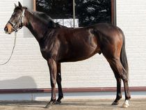 ����å��ǳ��������ɽ�����ޤ�