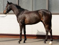 ����å��ǳ��������ɽ�����ޤ�