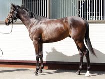 ����å��ǳ��������ɽ�����ޤ�