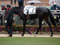 ����å��ǳ��������ɽ�����ޤ�