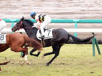 ����å��ǳ��������ɽ�����ޤ�