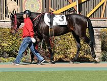 ����å��ǳ��������ɽ�����ޤ�