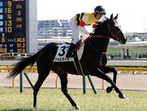 ����å��ǳ��������ɽ�����ޤ�