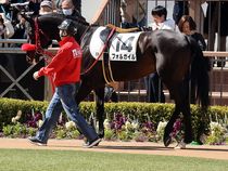 ����å��ǳ��������ɽ�����ޤ�