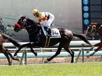 ����å��ǳ��������ɽ�����ޤ�